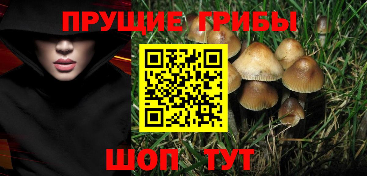Галлюциногенные грибы прущие грибы  как найти наркотики  Ртищево  Вход с VPN 