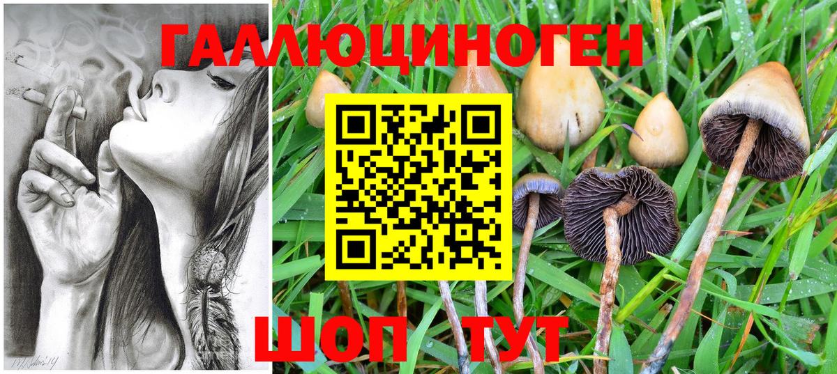 Псилоцибиновые грибы MAGIC MUSHROOMS Ртищево